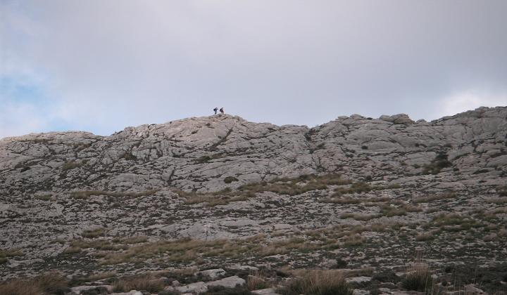 Serra Son Torrella Sud